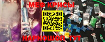 jwh Кинель