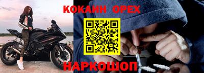 спиды Кингисепп