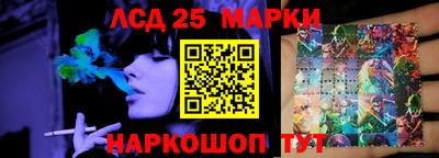 спиды Кингисепп