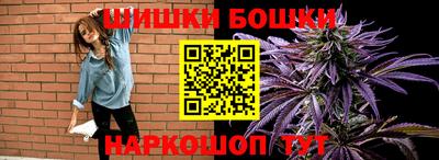 спиды Кингисепп