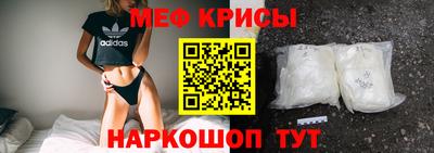 спиды Кингисепп